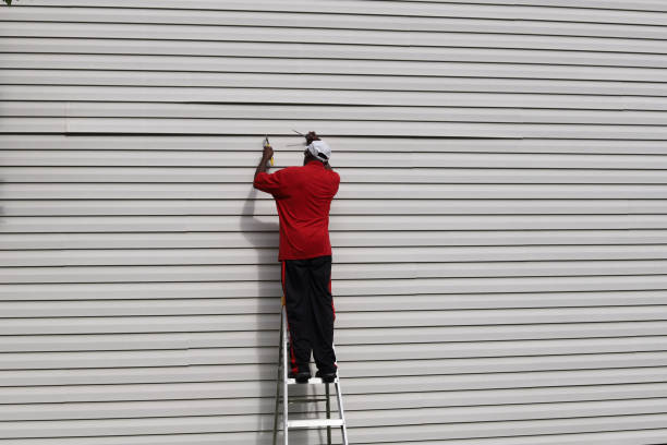 Best Stone Veneer Siding  in Pulaski, VA
